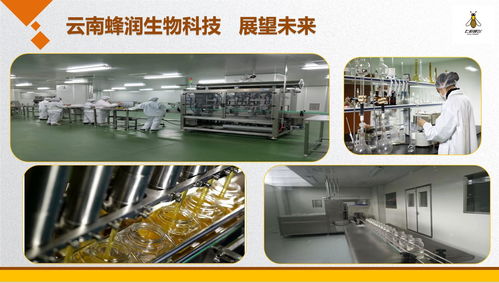 云南蜂潤(rùn)集結(jié)愛心，科技助殘奧健兒出征